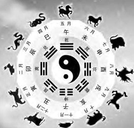 生肖天干地支|天干地支与十二生肖